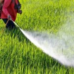 Jaki wpływ na nasze zdrowie mają pestycydy i nawozy sztuczne